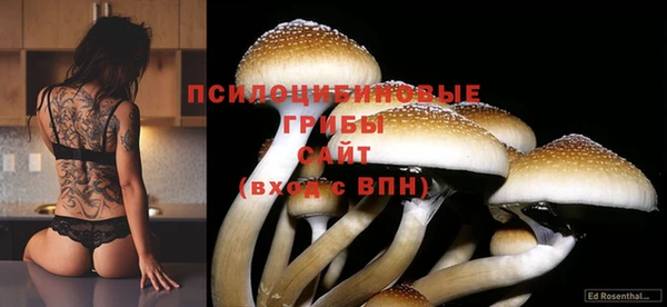 амф Заволжск