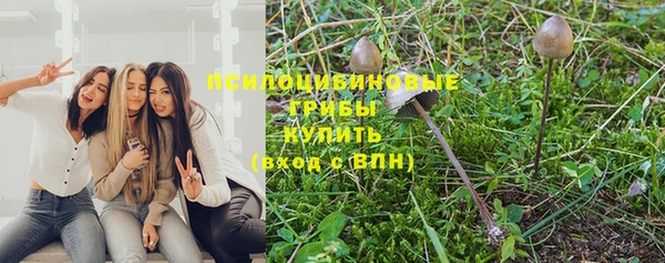 амф Заволжск
