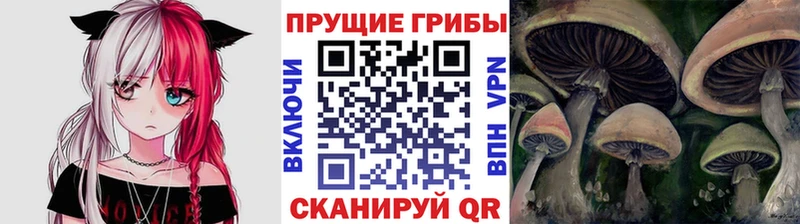Купить  Калачинск  Галлюциногенные грибы GOLDEN TEACHER 